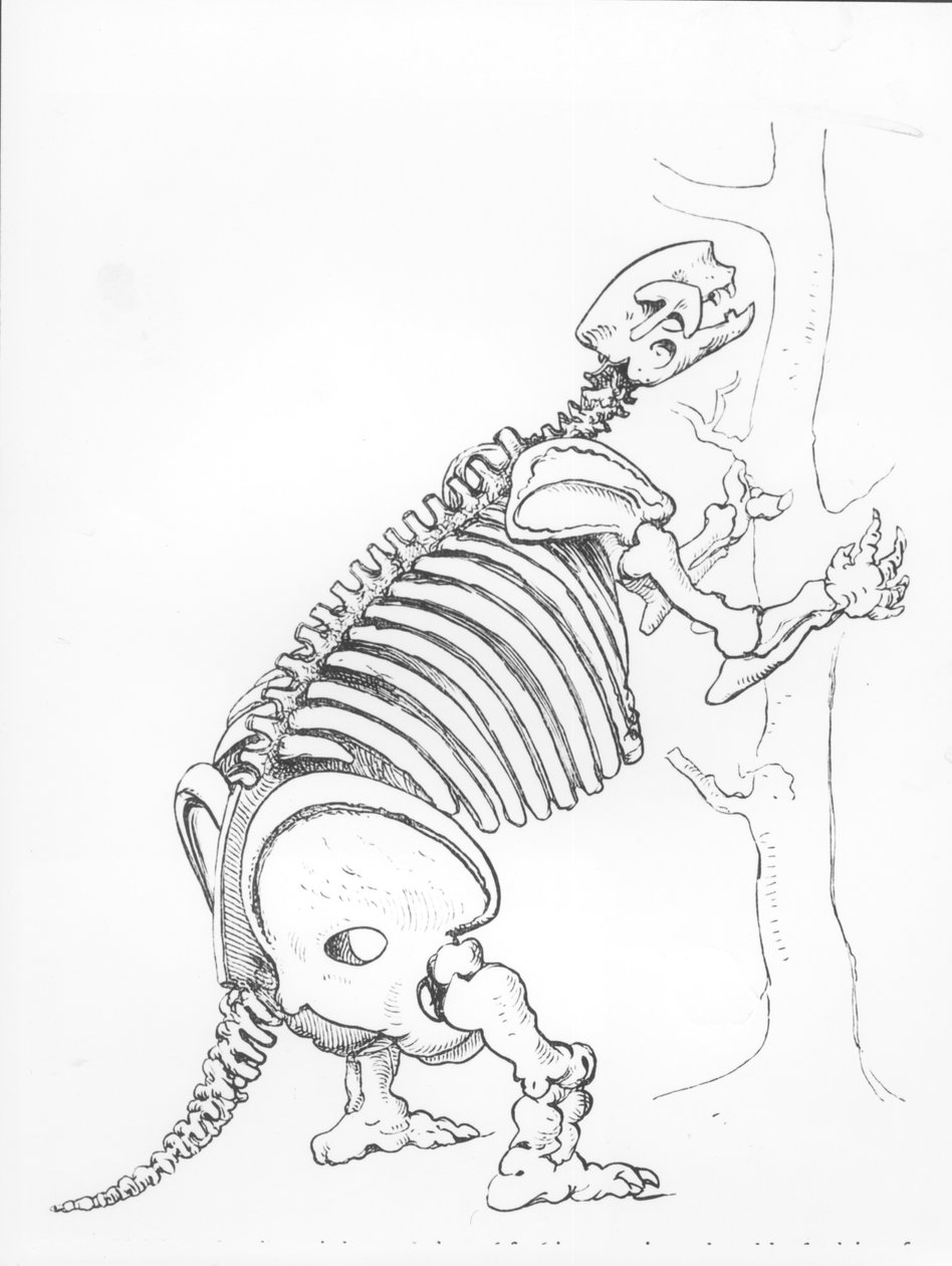 Skelett eines Mylodon von English School