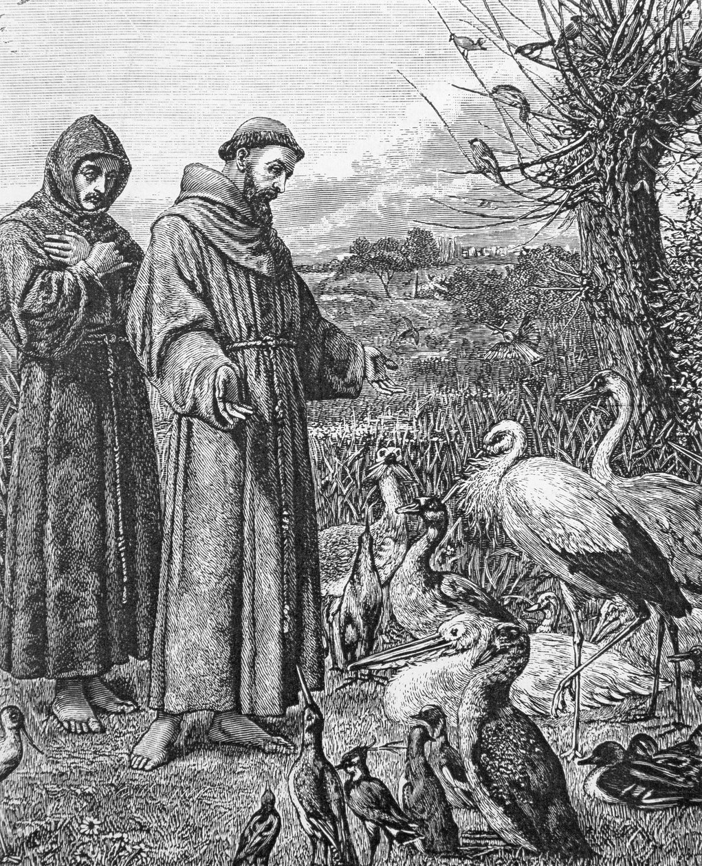 St. Franziskus von Assisi (1182-1226) von English School