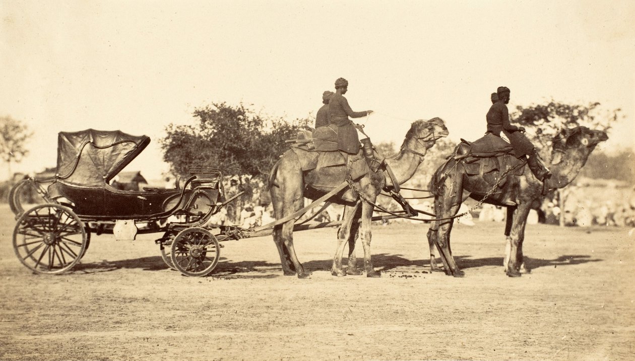Kamelkutsche, ca. 1860 von English Photographer