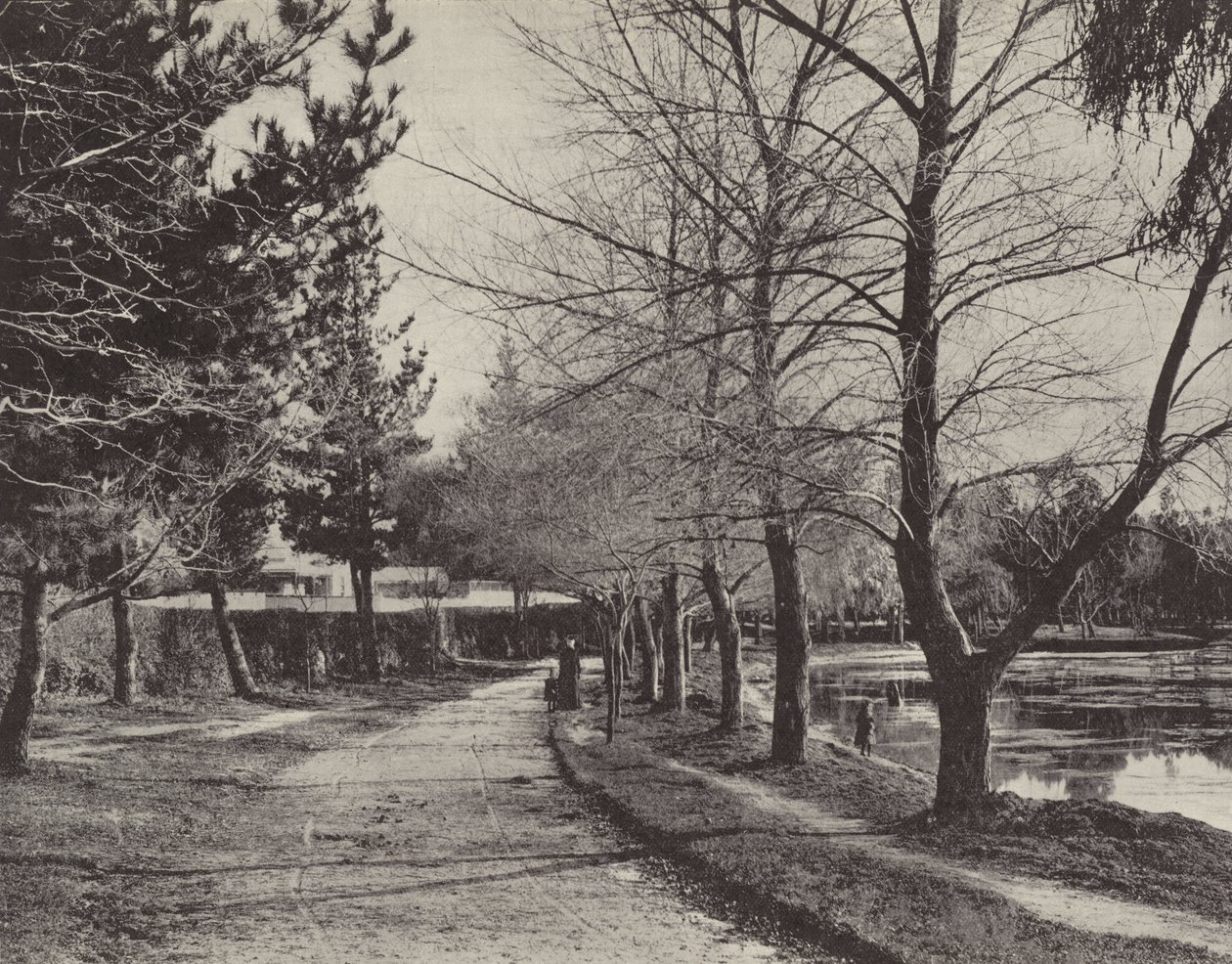 Lake Wendouree im Winter von English Photographer