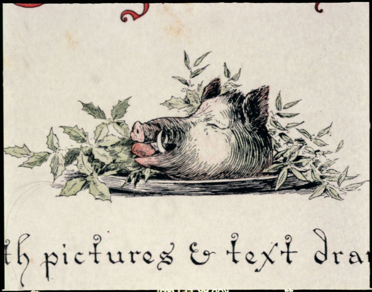 Wildschweinkopf von English School