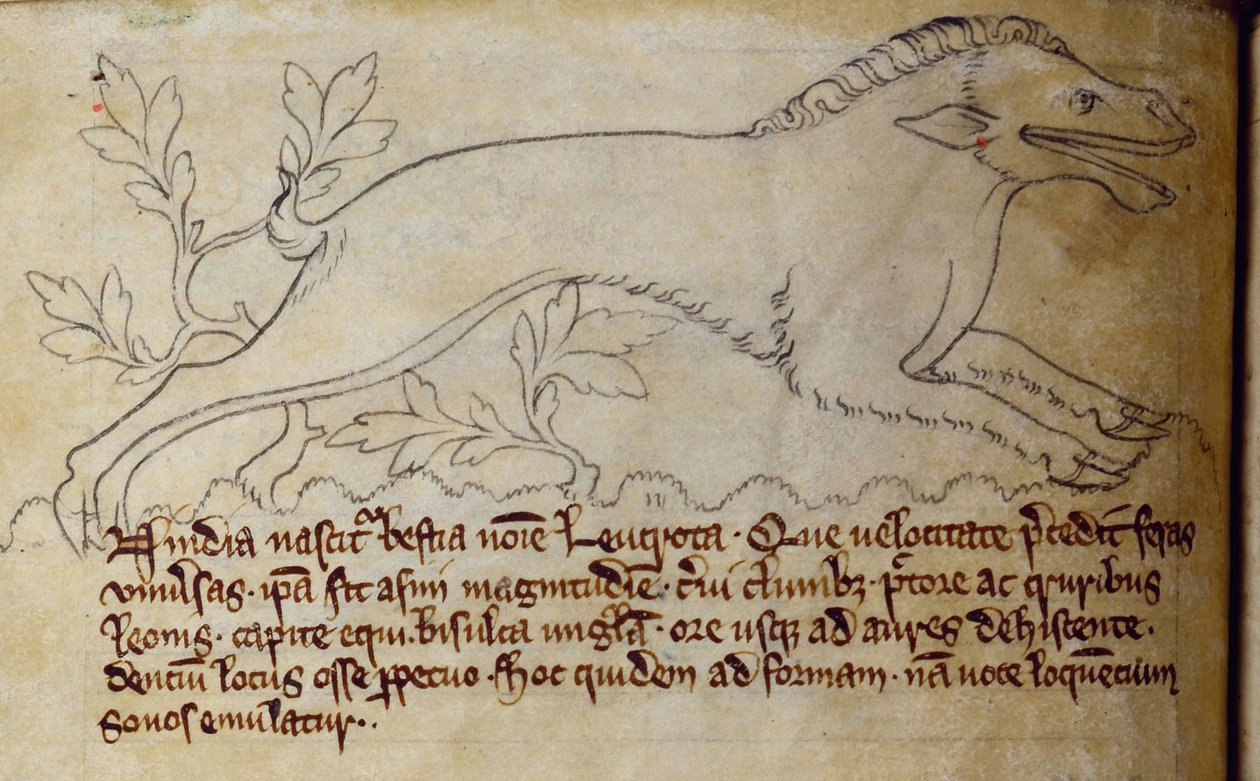 CCA-LitMs/D/10 fol. 3v Leucrota, aus Bestiarium von English School