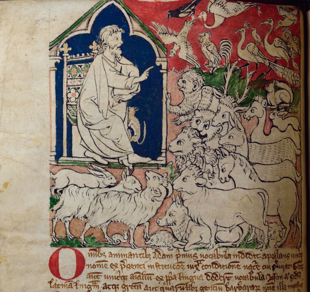 CCA-LitMs/D/10 fol. 7v Adam, aus Bestiarium von English School