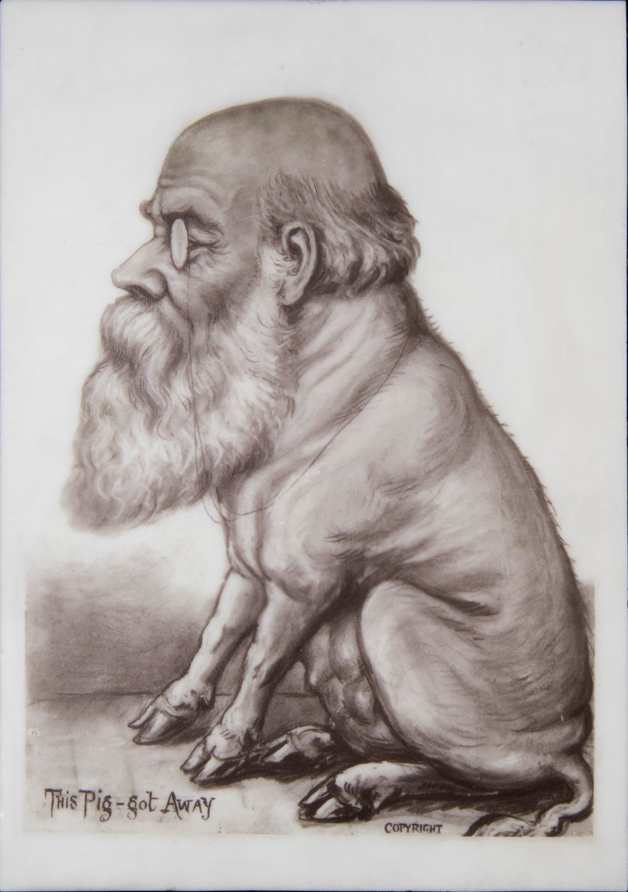 Charles Darwin Plakette, ca. 1870 von English School