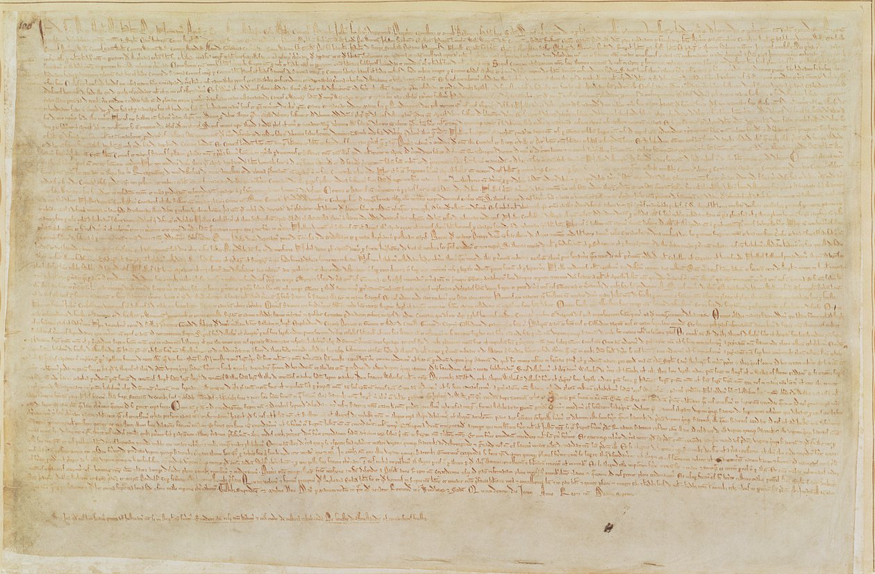 Magna Carta von English School