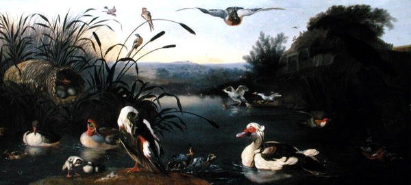 Enten auf einem Teich von English School