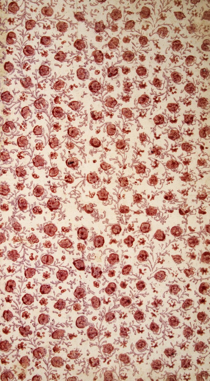 Florales Vorsatzpapier (handkolorierte Gravur) von English School