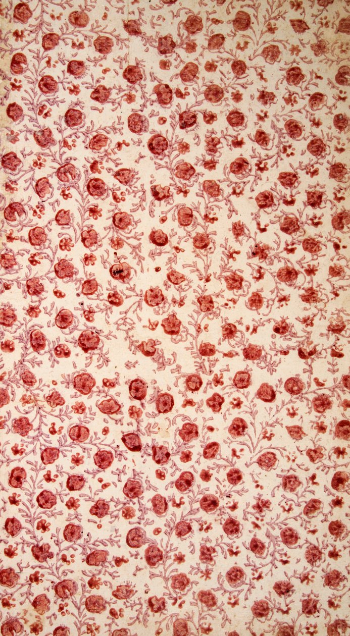 Blumiges Vorsatzpapier handkolorierte Gravur von English School