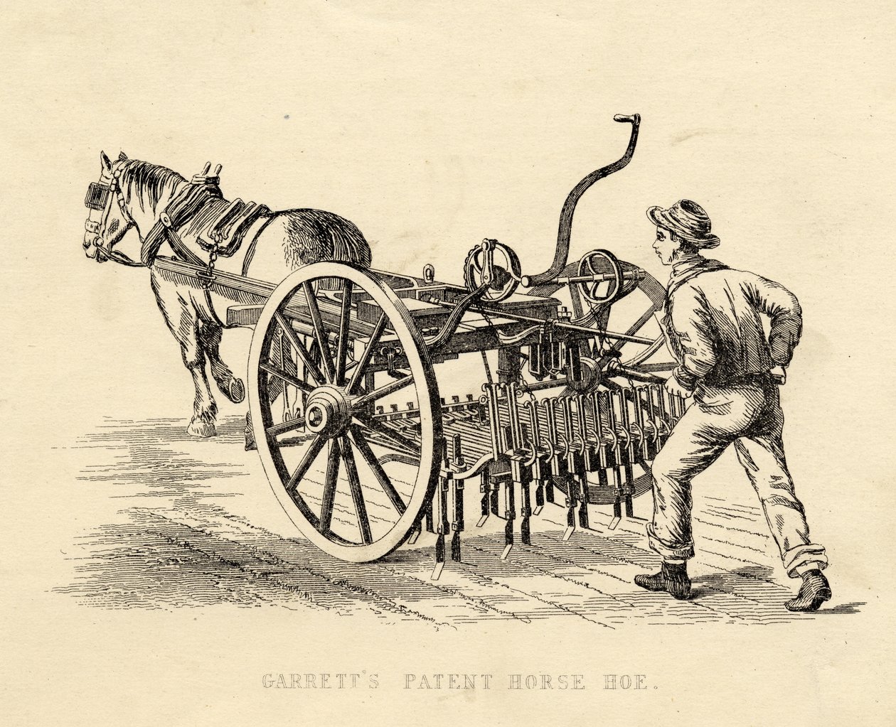 Garretts Patent-Pferdehacke von English School