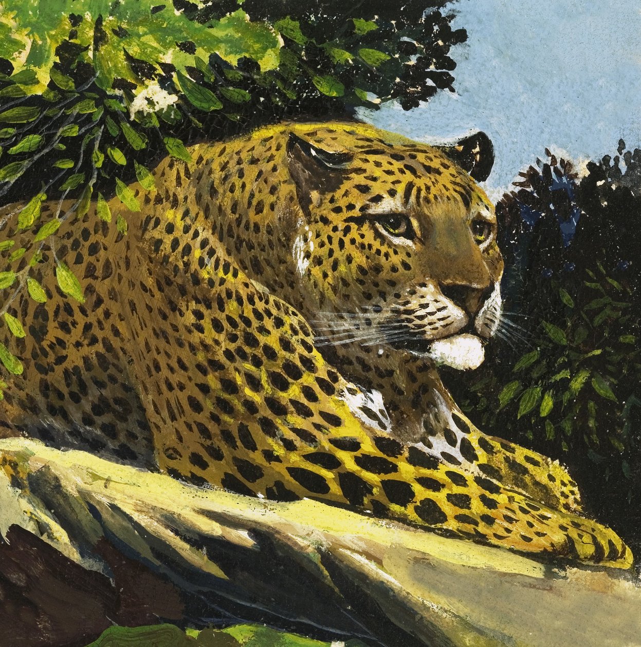 Leopard von English School