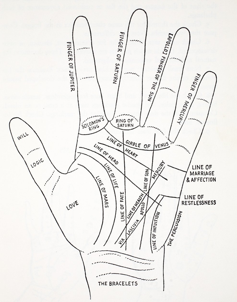 Linien der Hand von English School
