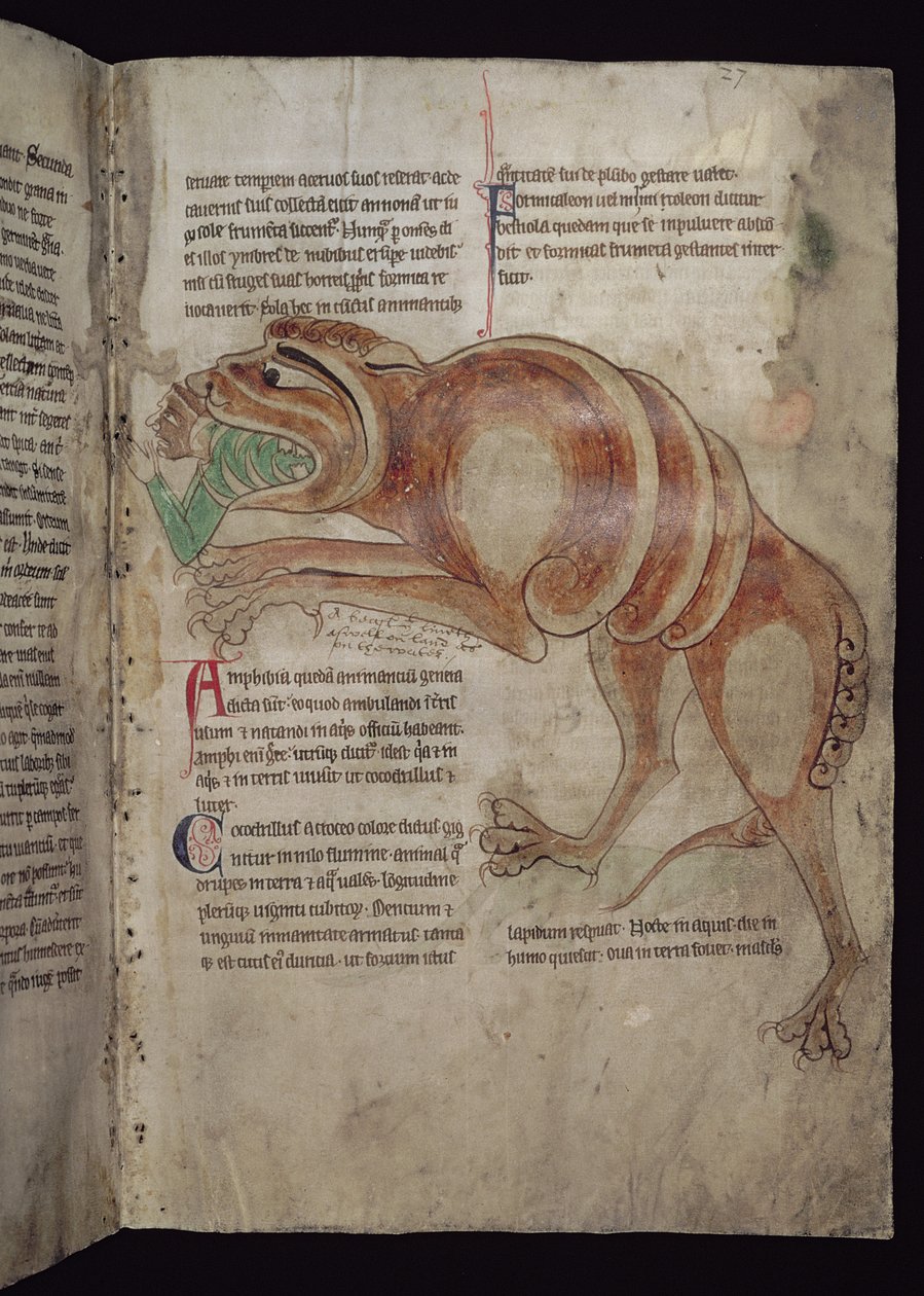 Ms.254 f.24 r Krokodil verschlingt einen Mann von English School