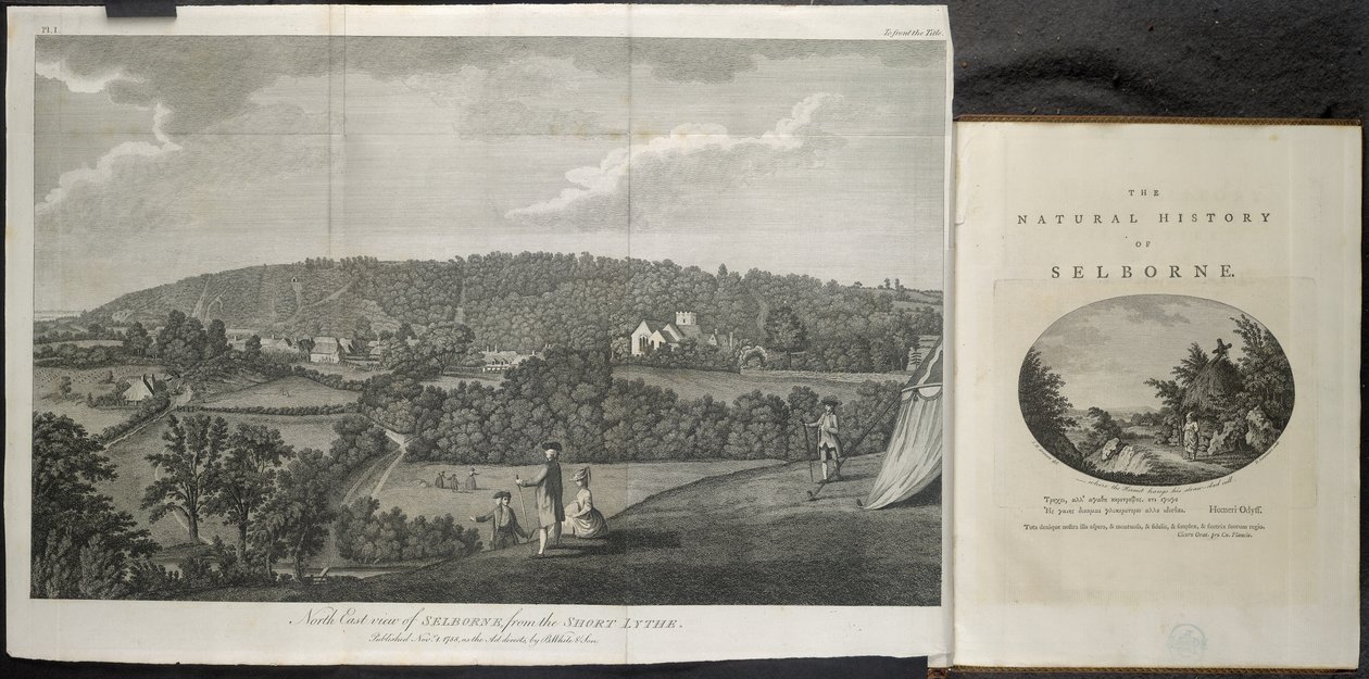 Nordostansicht von Selbourne von English School