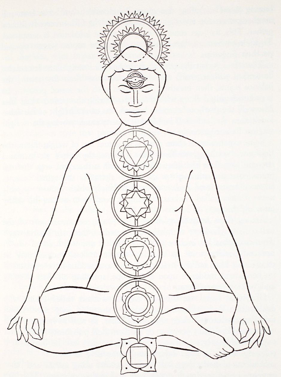 Padmasana oder Lotusposition von English School