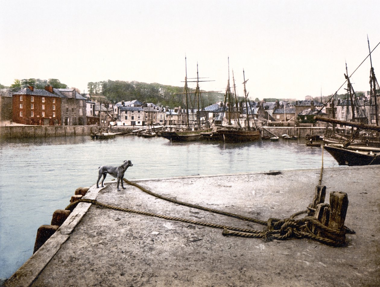 Padstow Kai von English School
