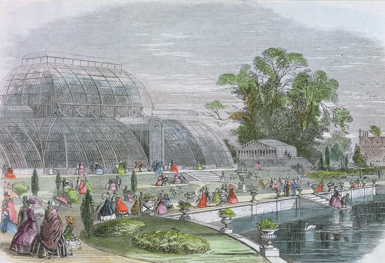 Palmenhaus, Kew (Gravur) von English School