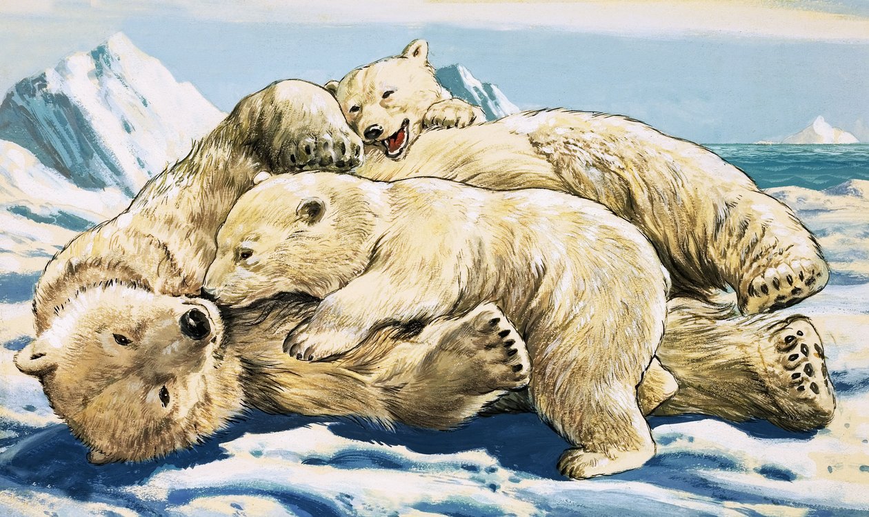 Eisbär und Junge von English School
