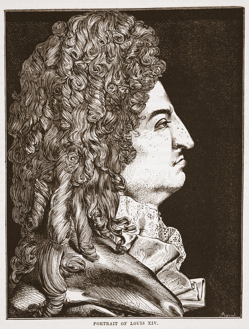 Porträt von Ludwig XIV. von English School