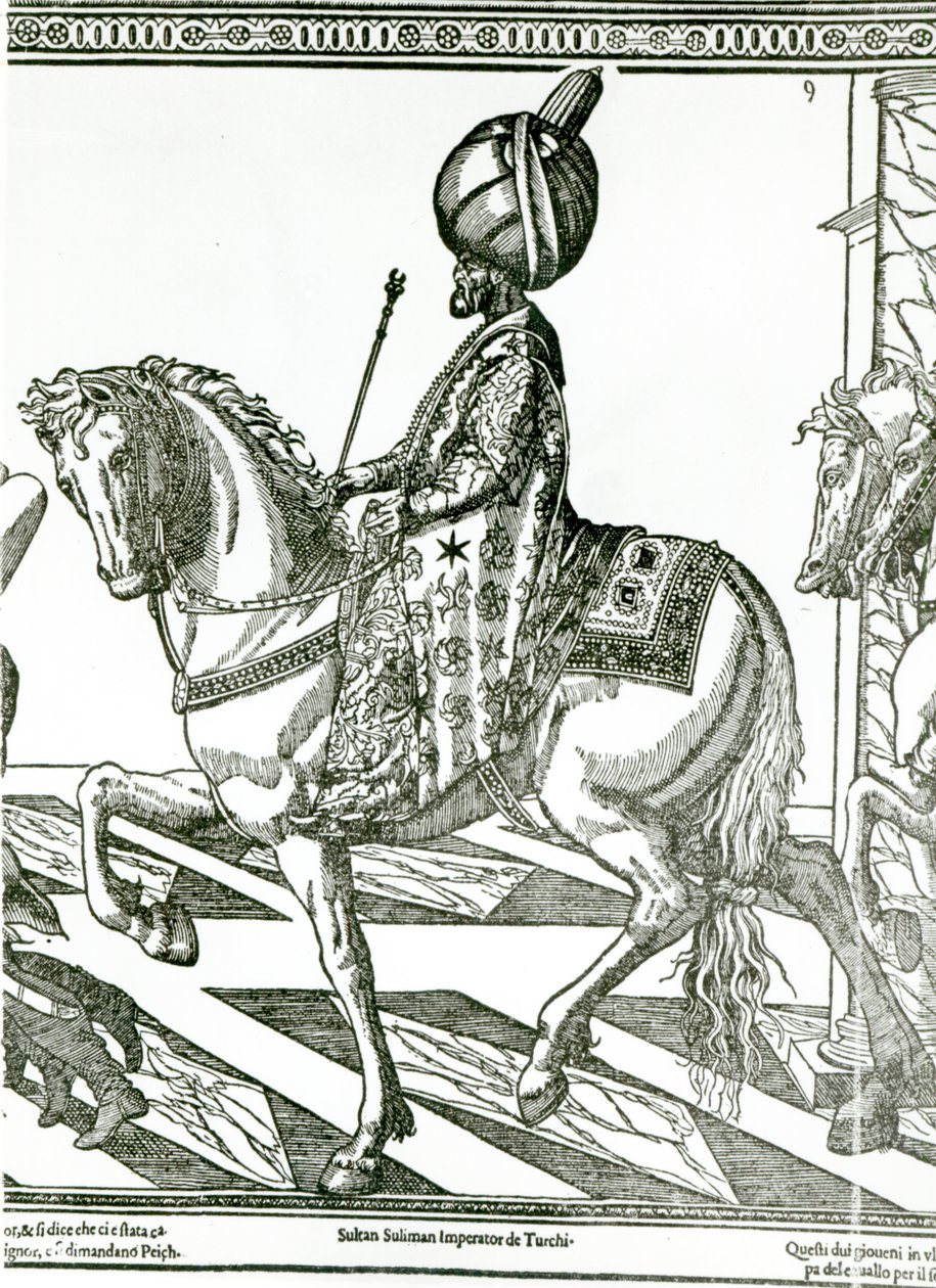 Porträt von Suleiman dem Prächtigen von English School