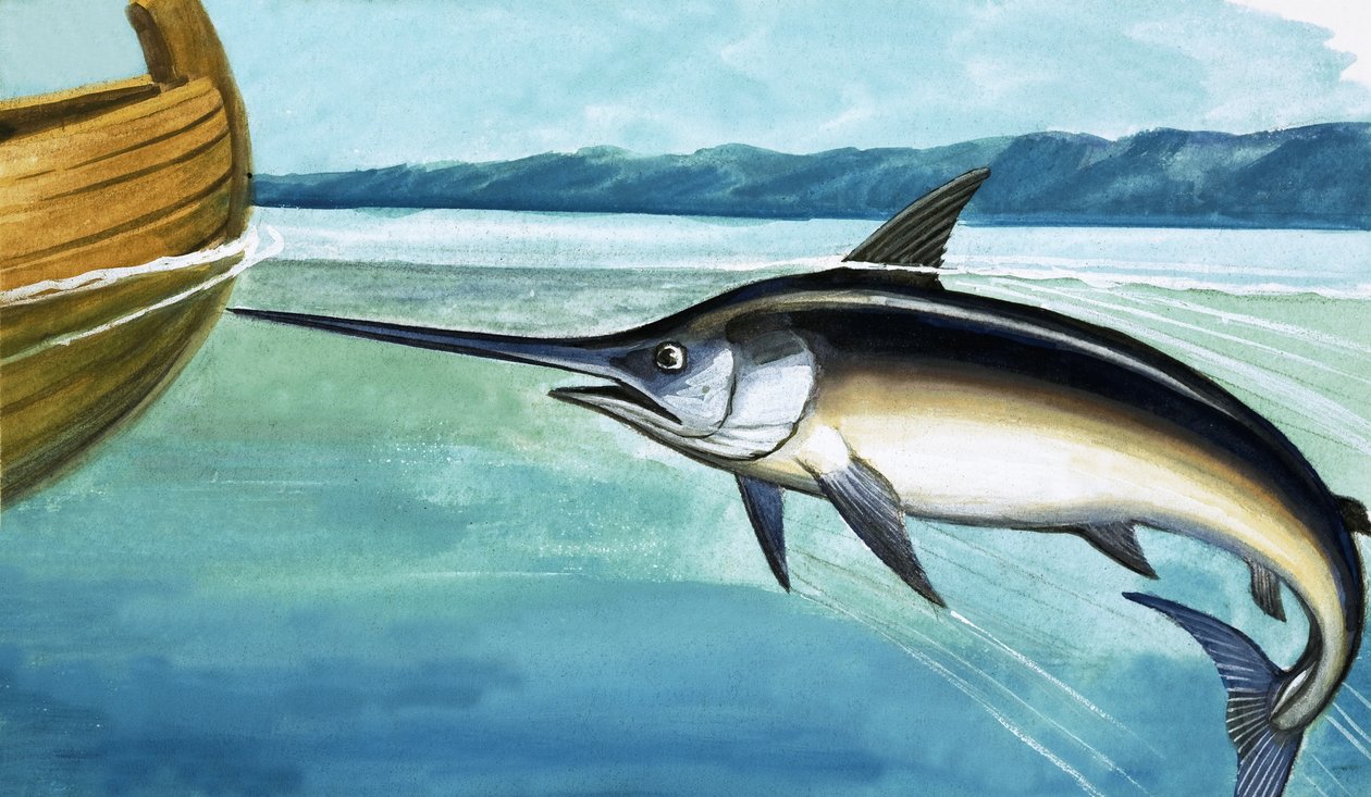 Schwertfisch von English School
