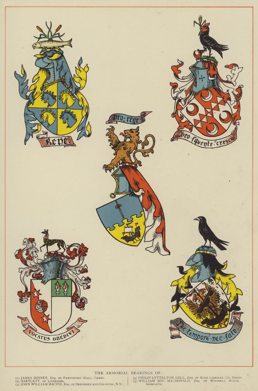 Die Wappen von English School