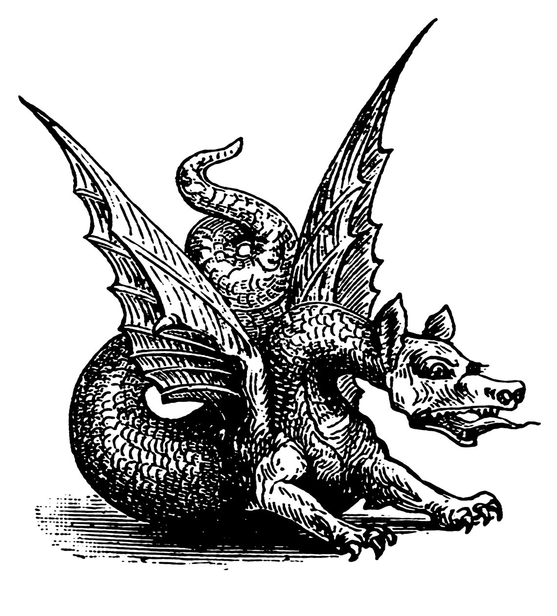 Der Drache der Fabel (Gravur) von English School
