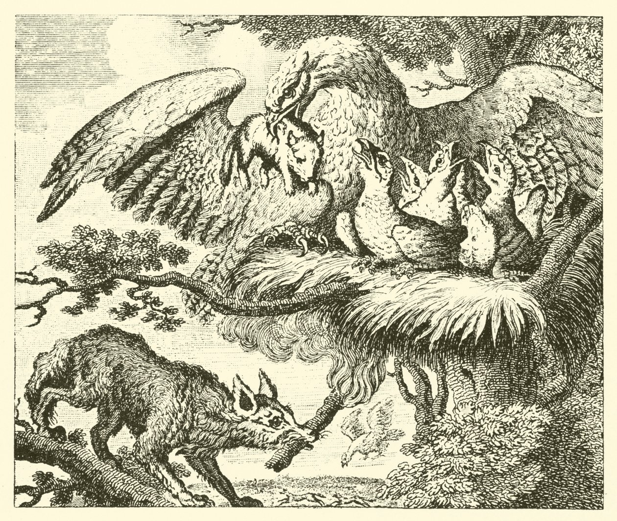 Der Adler und der Fuchs von English School