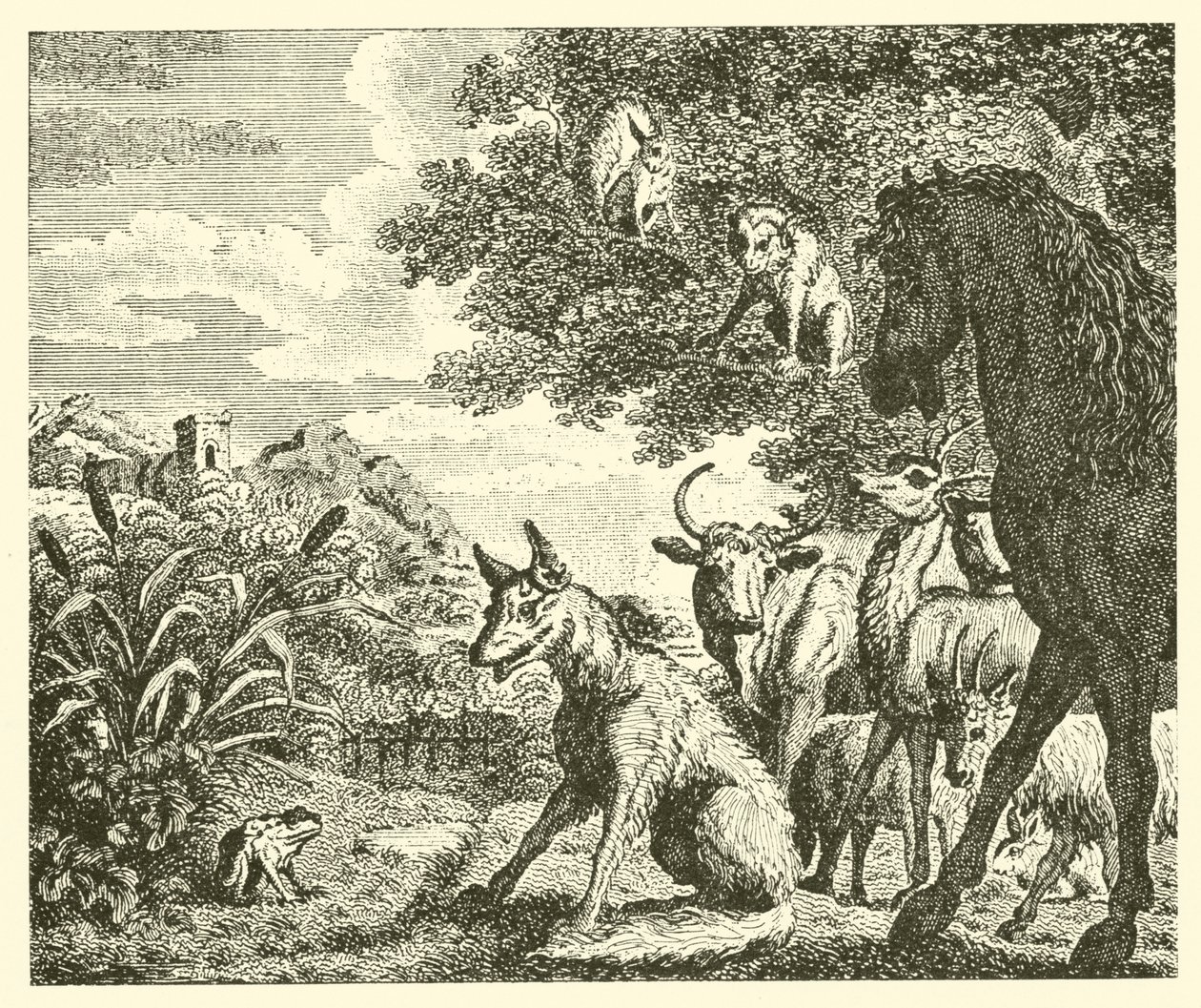 Der Frosch und der Fuchs (Gravur) von English School