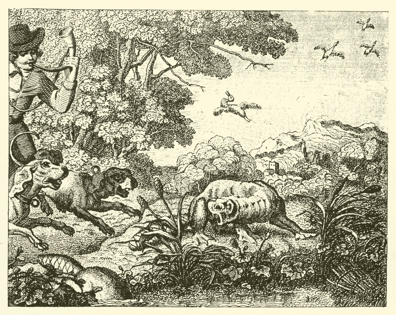 Der gejagte Biber von English School