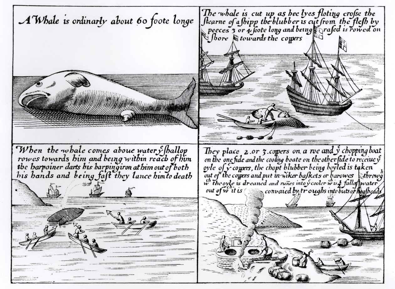 Walfang in Spitzbergen im Jahr 1611 von English School
