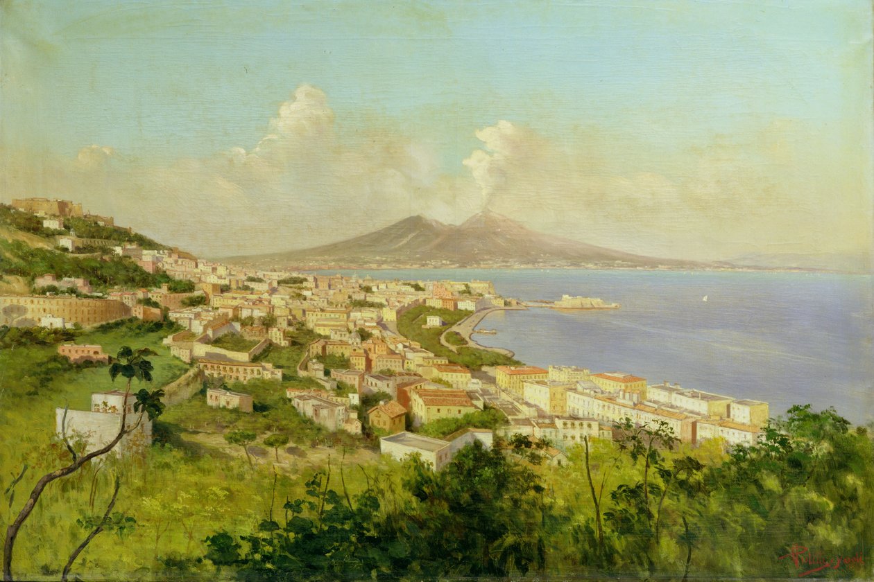 Blick auf die Bucht von Neapel von Enrico Pistilli