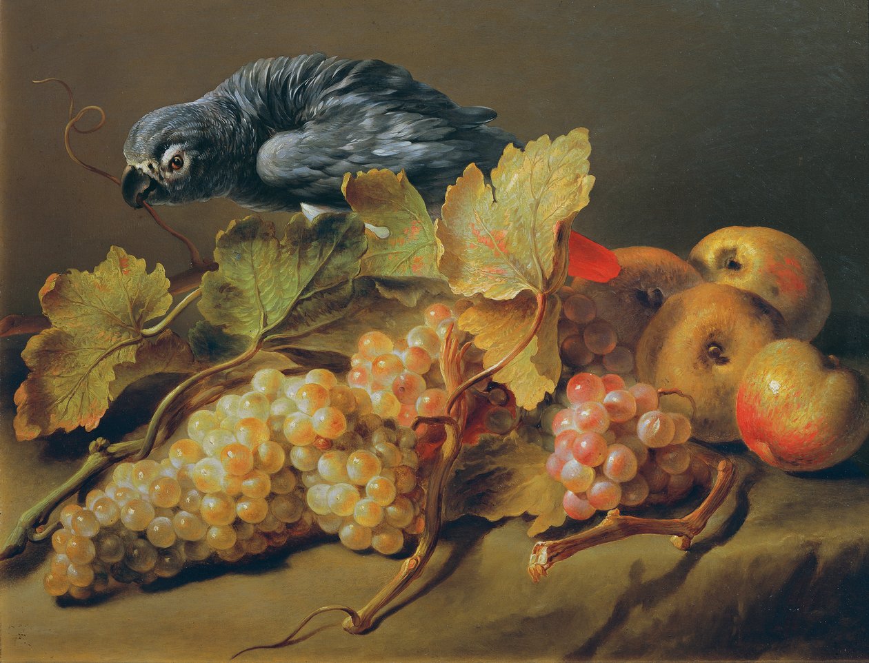 Stillleben mit Papagei und Trauben von Erasmus von Engert