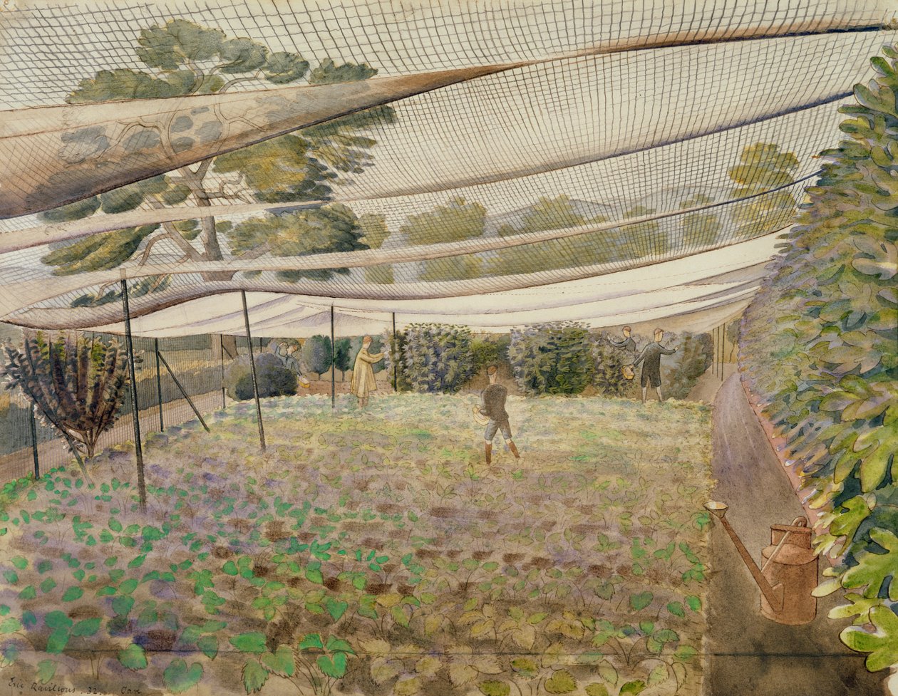 Erdbeernetze von Eric Ravilious
