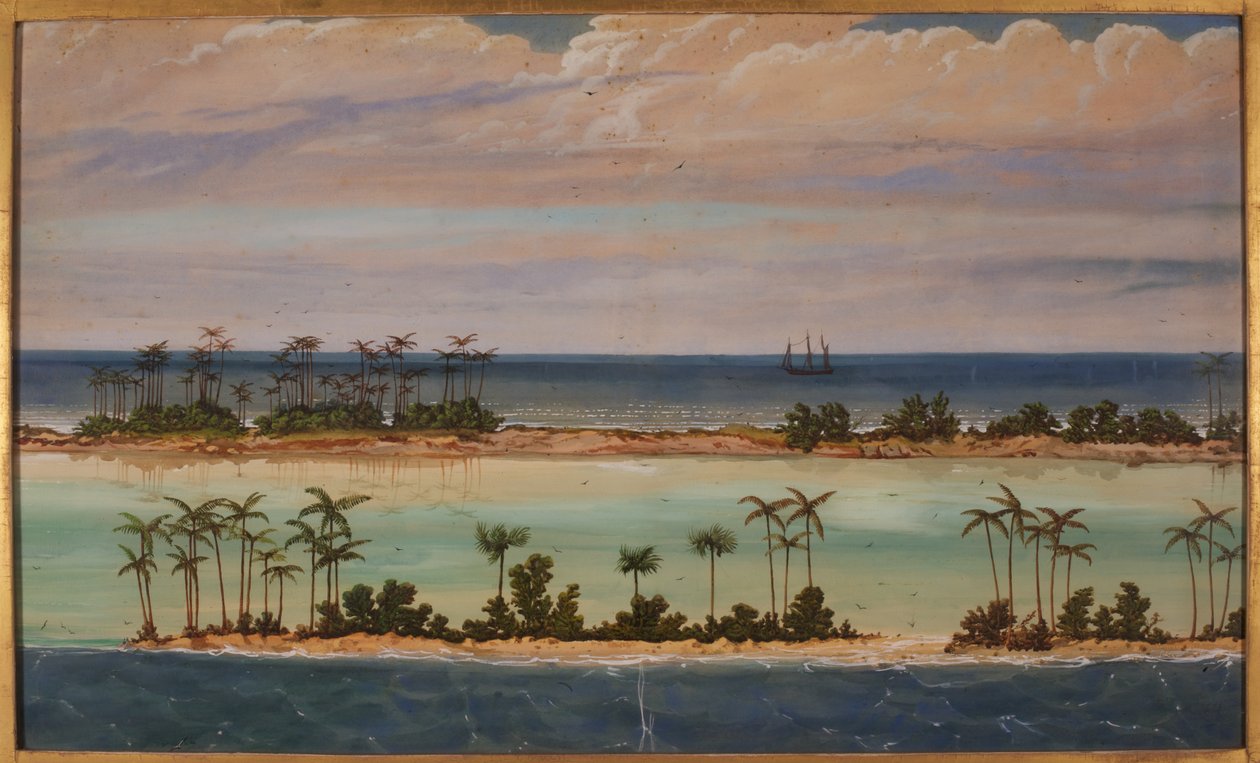 Triptychon eines Atolls, 1871 von Ernest Henry Griset