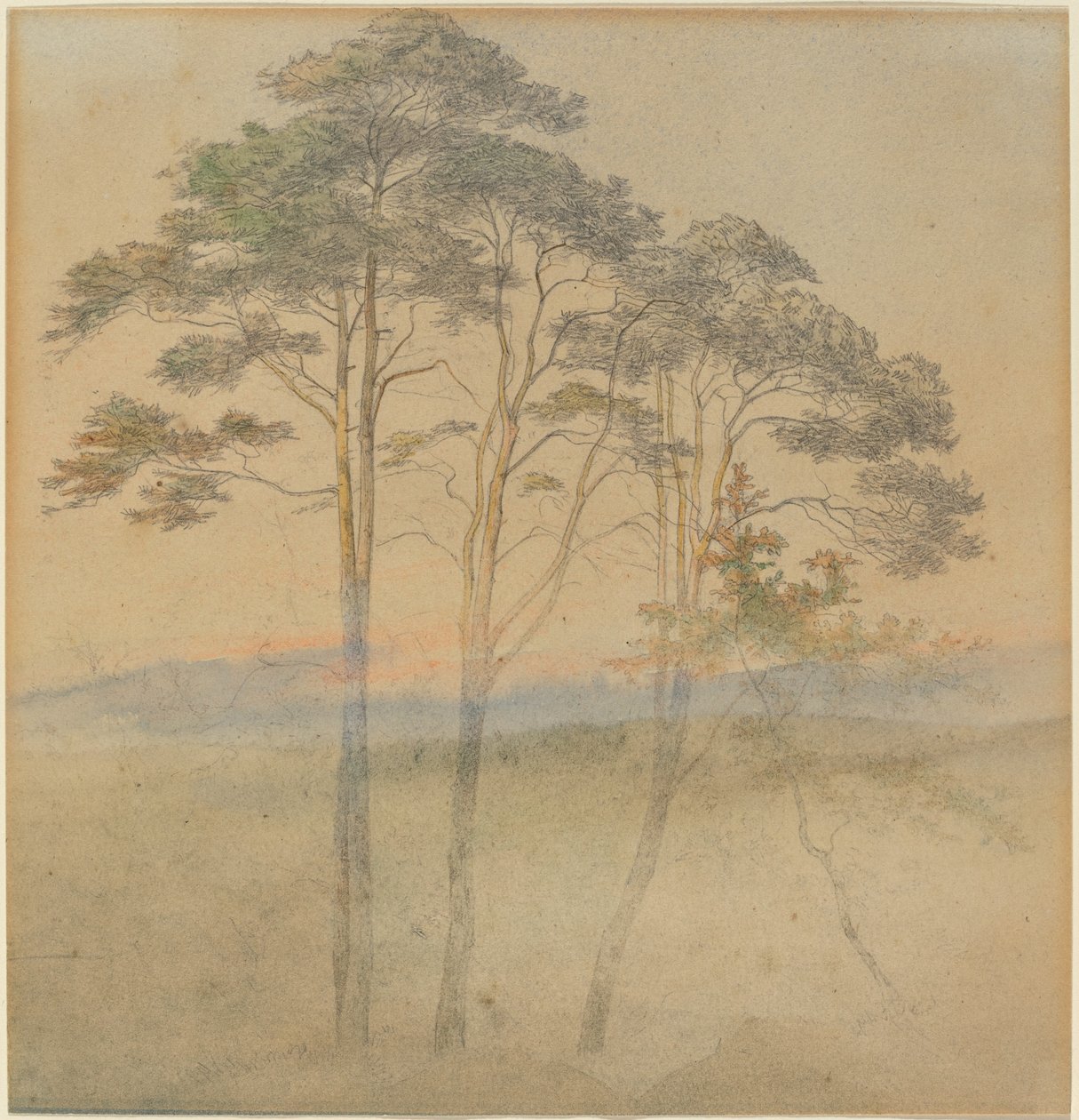 Kiefern im Morgennebel von Ernst Ferdinand Oehme