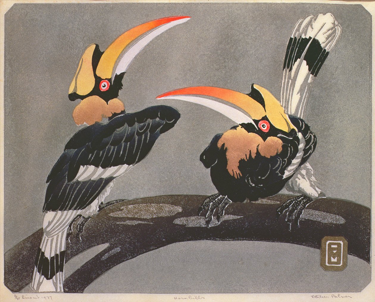 Nashornvögel, 1937 von Ethleen Palmer