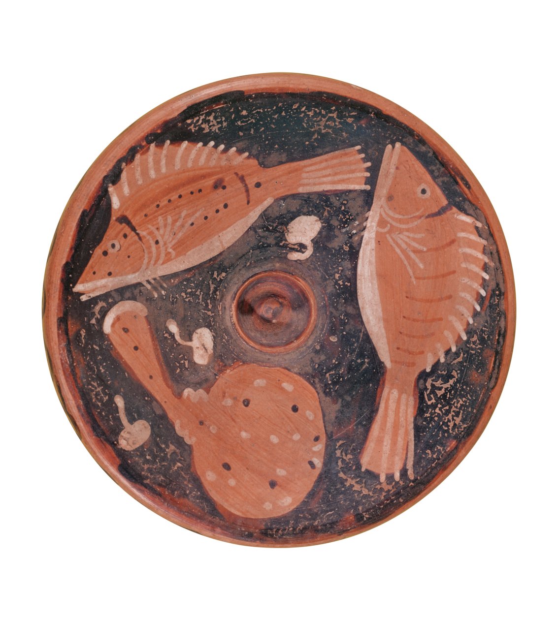 Teller mit Fischdekor, aus Vulci von Etruscan