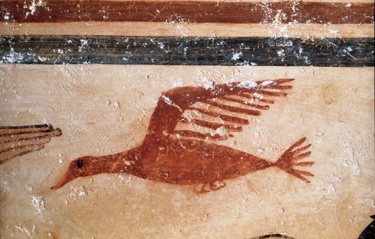 Ein Vogel (Detail) von Etruscan