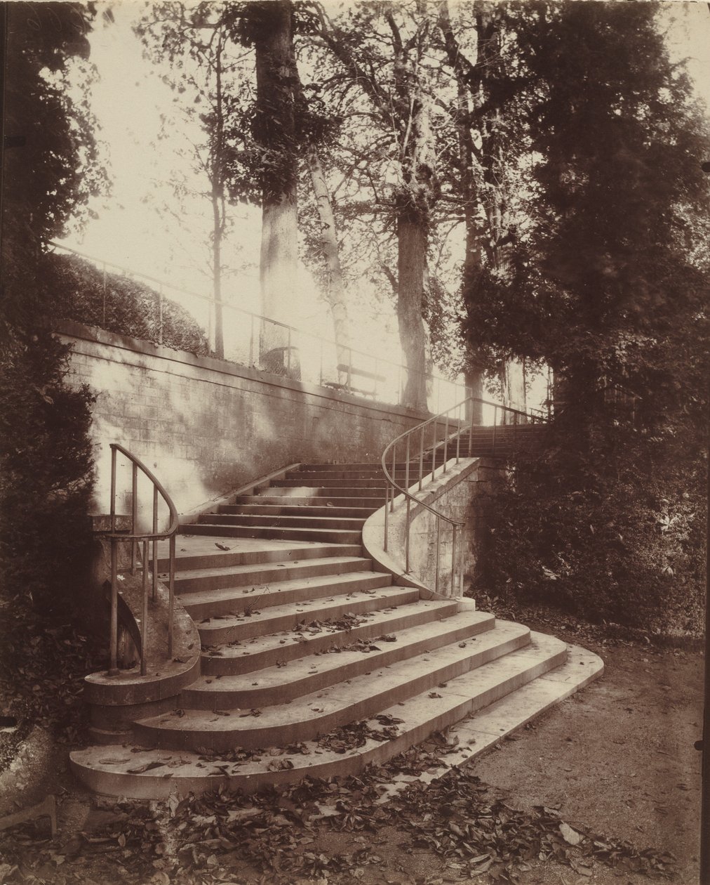 Die Treppen von Saint-Cloud, 1906 (Foto) von Eugène Atget