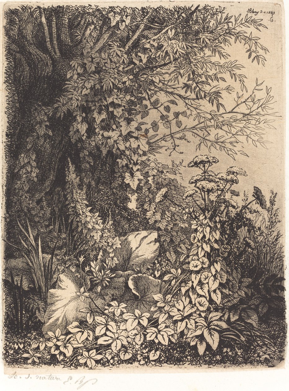 Die Klette mit Weide von Eugene Bléry