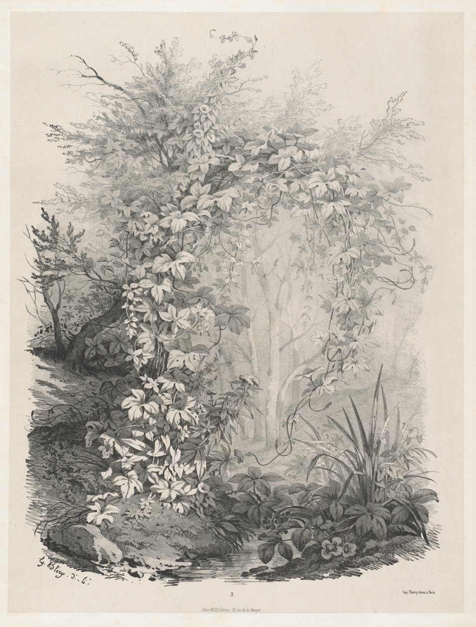 Pflanzen und Efeu an einem Bach von Eugene Bléry