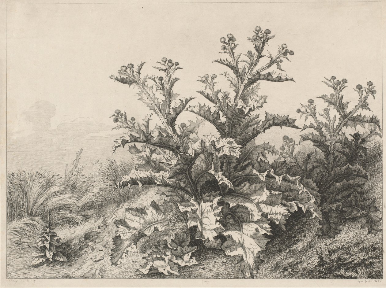 Die große Distel (Le Grand Chardon) von Eugene Bléry