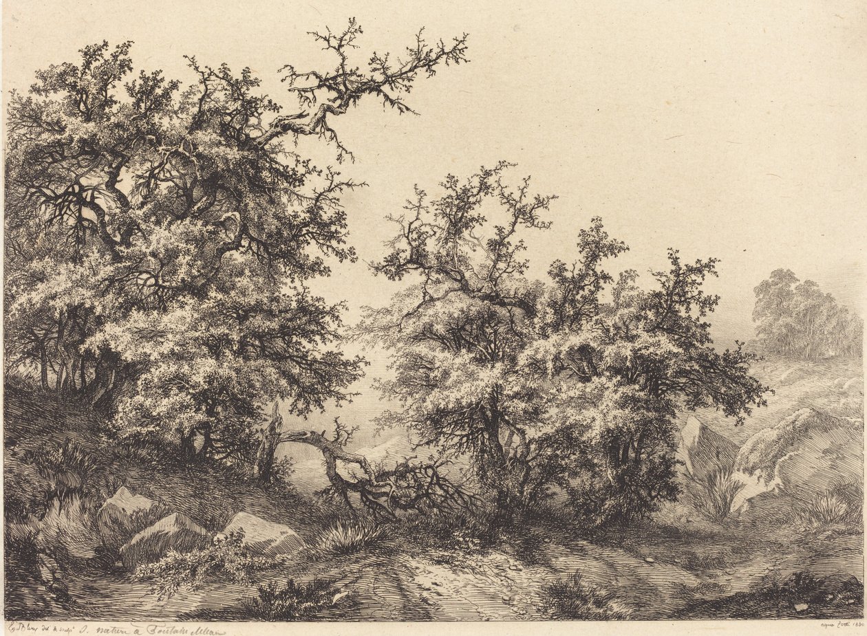 Dornbüsche, 1840 von Eugene Bléry