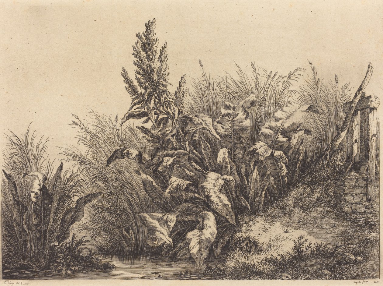 Wasserampfer von Eugene Bléry