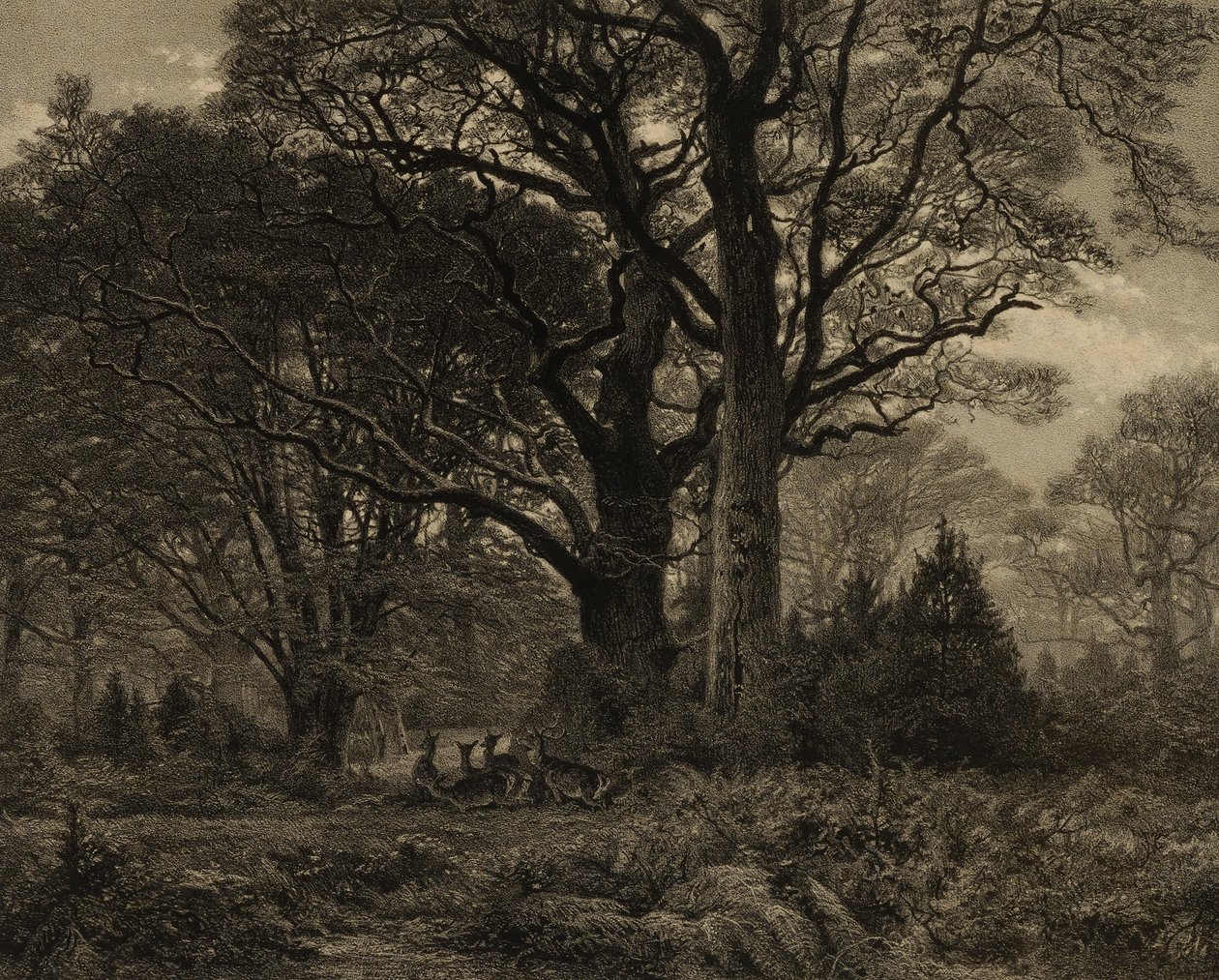 Wald von Fontainebleau von Eugene Leroux