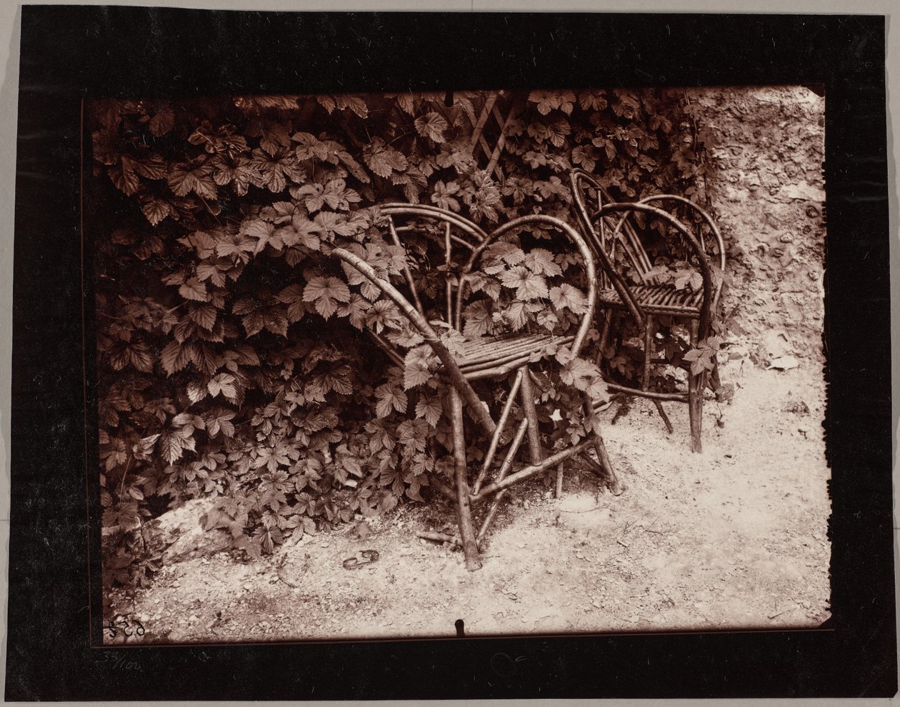 Hopfen von Eugène Atget