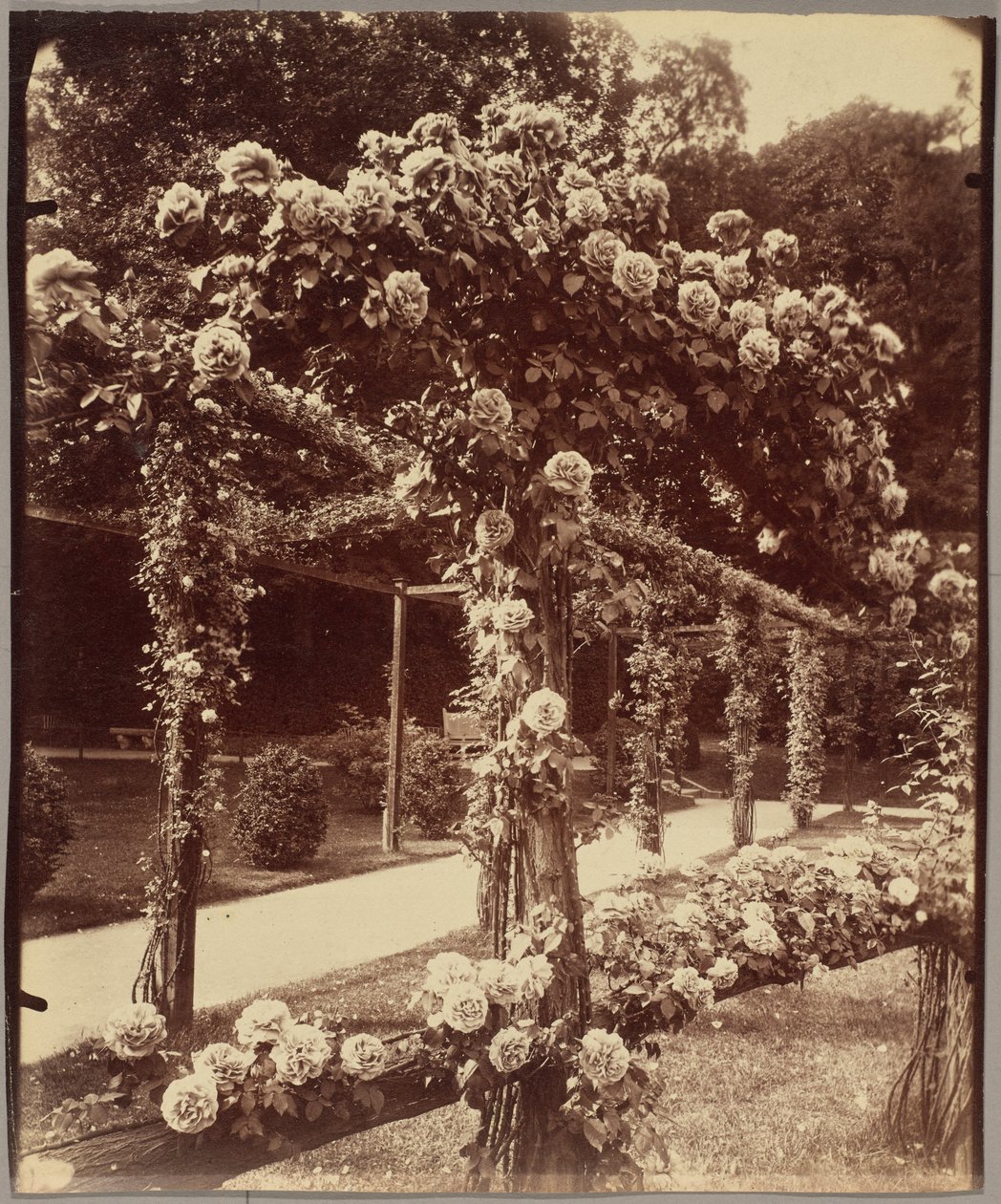 [Jardin de Bagatelle] von Eugène Atget