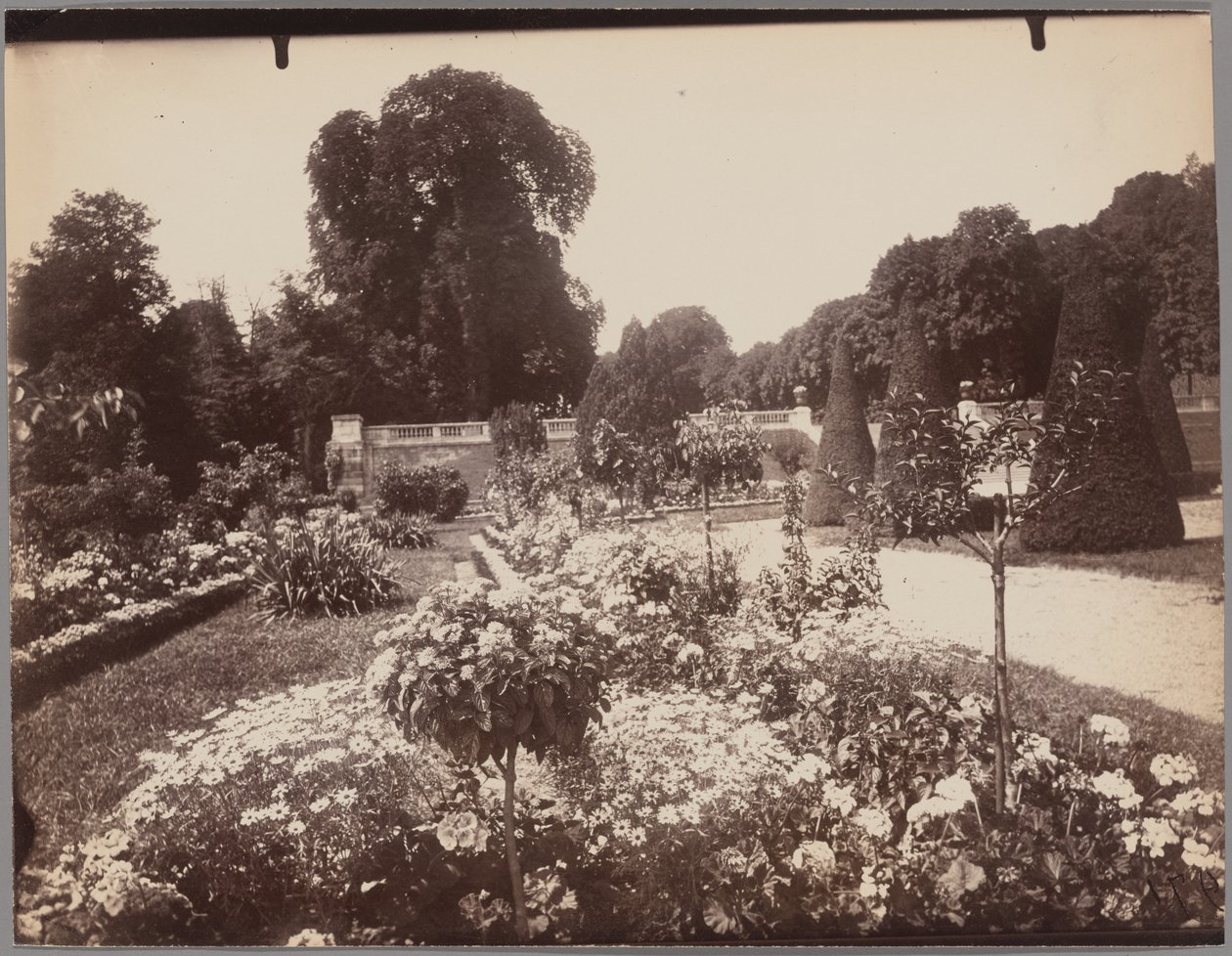 Saint-Cloud von Eugène Atget