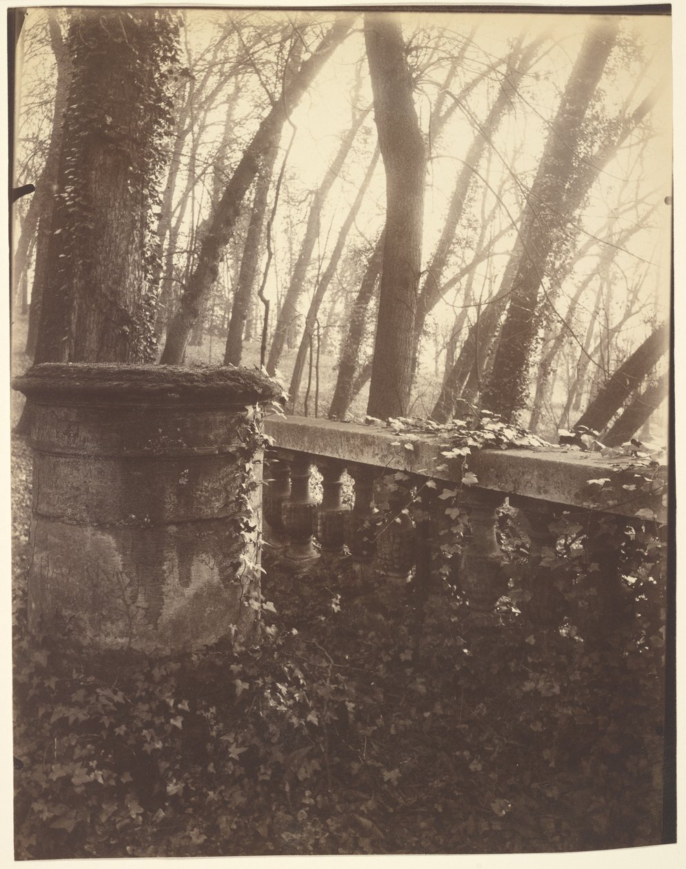 Park von Saint-Cloud, Paris von Eugène Atget