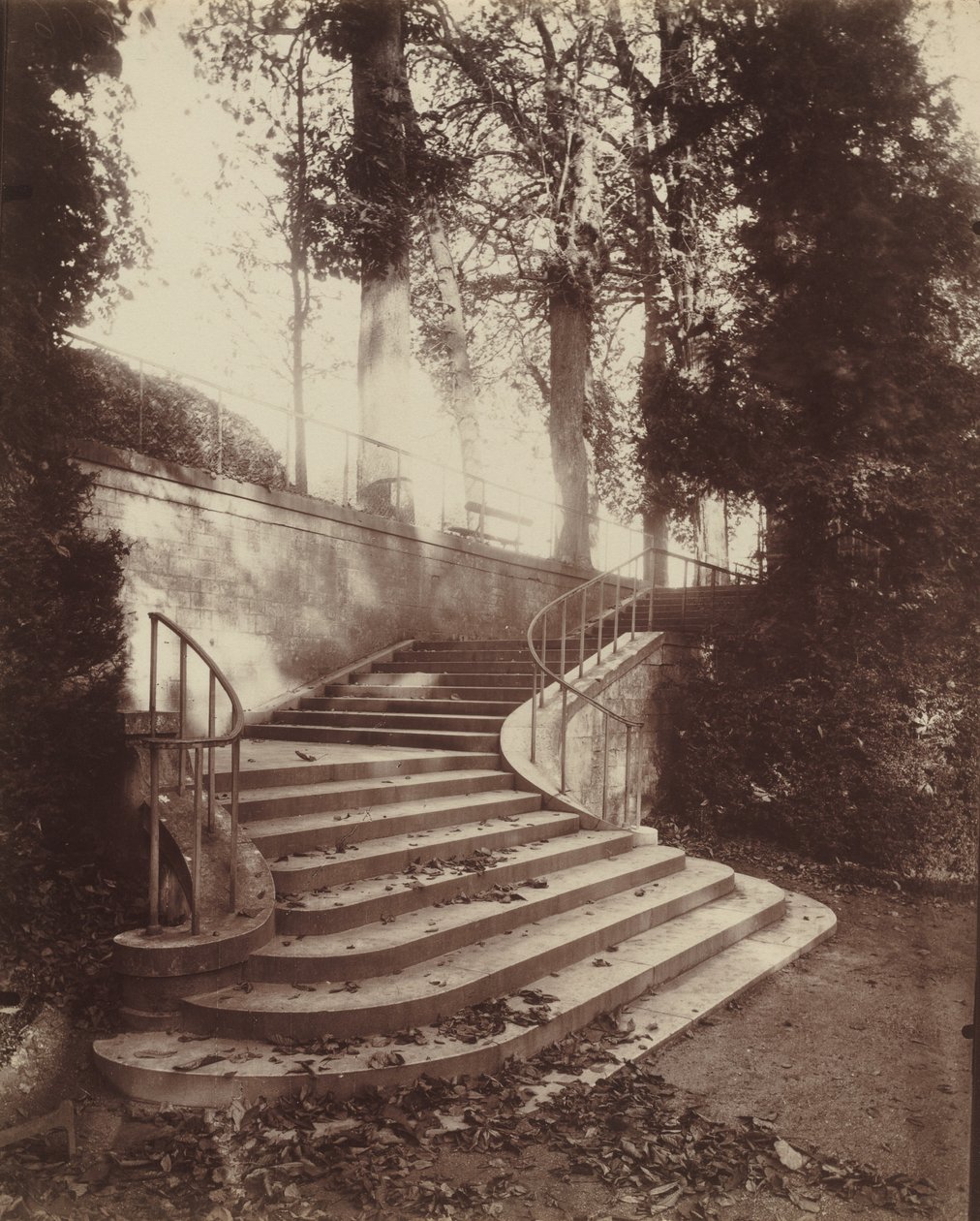 Die Stufen von Saint-Cloud von Eugène Atget